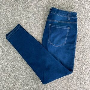 Dark Wash High Rise Skinny Jeans by Curve Appeal